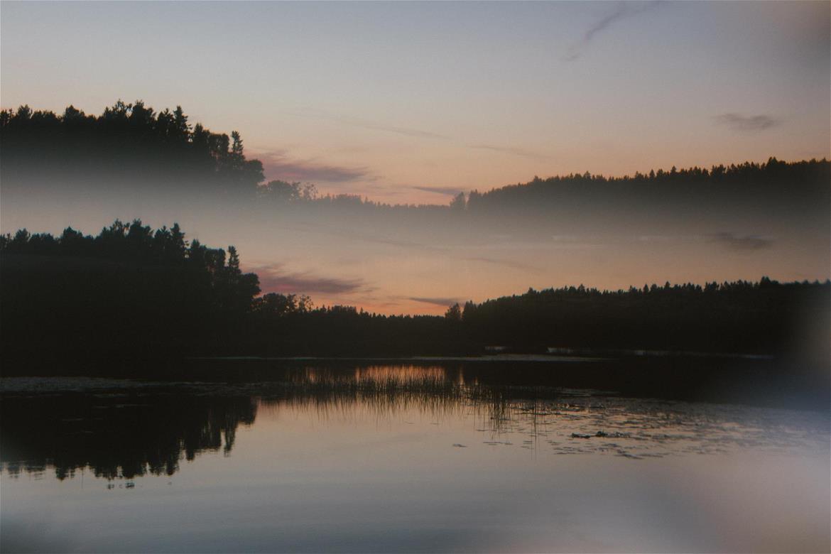 Neljä naista seisoo pellolla. 
